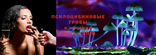 сатива Алексин