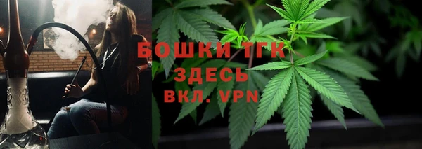сатива Алексин